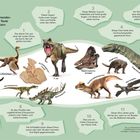 Rätsel: Kannst du die Texte den Dinos zuordnen? Beschreibungen 1-12 nummeriert, Dinosaurier-Illustrationen vorhanden.