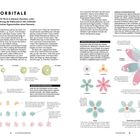 Links oben: "111 Röntgenium (Rg)", Mitte oben: "Dieses instabile Metall gehört...", rechts oben: "114 Flerovium (Fl)".