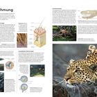 "Taktile Wahrnehmung" in Überschrift. Text erklärt tierische Wahrnehmung durch Tastsinn. Bilder von Fell, Spinne, Fischen und Leopard.