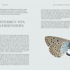 Texte beschreiben, wie der Klimawandel Insekten betrifft. Abbildungen einer Erdhummel und Kohlmotte auf einem Blatt.