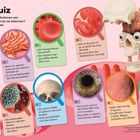 "Foto-Quiz: Schau dir diese Nahaufnahmen von Körperteilen an. Kannst du sie erkennen? Die Texte helfen dir dabei."