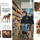 Blindenführhunde helfen ihren Menschen Hindernisse sicher zu umgehen. Medizinhunde erkennen Veran­derungen.