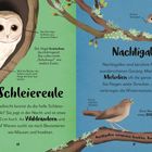 Schleiereule, Waldrändern, Nachtigall, Melodien. Eine Eule sitzt im Baumloch; eine Nachtigall auf einem Ast. Illustrativ.