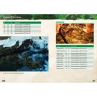 Kapitel 5: Die Insel, Orte, Artifacte; Tabelle mit Koordinaten und Befehlen; Bild einer Eishöhle und leuchtender Wald.