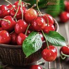 Zitat: „Kochen ist eine Kunst – und keineswegs die unbedeutendste.“ Juni. Rote Kirschen in einer Schale.