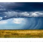 JUNI, 01 bis 30. Weite Graslandschaft unter dunklen Regenwolken. Ein einzelner Baum links.