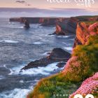 "Kilkee Cliffs, Ireland. Kalender für Juni. Küstenlandschaft mit dramatischen Klippen und blühenden Blumen."