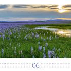 Kalenderblatt für Juni 2023, unten Datumszahlen. Bild zeigt eine blühende Wiese im Sonnenuntergang.