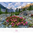 06 Juni. Alpenlandschaft mit pinken Blumen, Bäumen und schneebedeckten Bergen im Hintergrund.