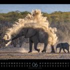 Afrikanische Elefanten, Etosha-Nationalpark, Namibia. Ein großer Elefant wirbelt Staub auf, gefolgt von einem kleinen Elefanten.