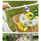 Ein Kalenderblatt für Juni, das drei Natur- und Blumenszenen zeigt.