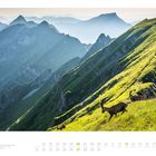 06, Steinböcke auf der Brienzer Rothorn, Panorama von grünen Bergen mit zwei Steinböcken im Vordergrund.