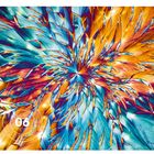 Text: "Kari Geiff, The Art of Science, 06." 
Buntes Design mit blauen und orangenen, fedrigen Mustern.