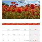 Kalenderseite für Juni 2027. Bilder: Eule und Mohnblumenfeld. Feiertage: Festa della Repubblica, Sommeranfang, Juneteenth.