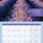 "Schau in Richtung Sonne, dann werden die Schatten hinter dich fallen. Maori-Sprichwort." Lavendelfeld mit Baum. Juni 2027.