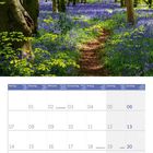 Kalendermonat Juni 2027, zeigt Wochentage und ein Foto von einem grünen Wald mit lila Blumen am Boden.