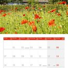 Kalenderseite für Juni 2027. Oben ein Reetdachhaus hinter einem Mohnblumenfeld unter blauem Himmel.