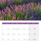 06 2027. Ein Kalenderblatt für Juni mit Lavendelfeldern und einem kleinen Gebäude im Hintergrund unter einem bunten Himmel.