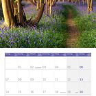 Kalender für Juni 2027, Feiertage: 2. Festa della Repubblica, 21. Sommeranfang, 19. Juneteenth. Pfad durch Wald mit blauen Blumen.
