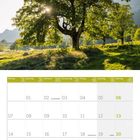 Kalender für Juni 2027, mit Feiertagen wie "Festa della Repubblica" und "Sommersonntag". Foto eines großen Baums bei Sonnenlicht.
