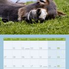 Zitat: "Das Blöde am Faulsein ist, man weiß nie, wann man fertig ist." Kalender für Juni 2027 mit schlafendem Esel.