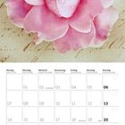 Kalenderblatt für Juni 2027 mit einer großen, wunderschönen rosa Blüte und dekorativem Hintergrund.