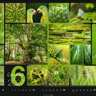 "Colours of Nature 2027." Verschiedene Bilder von grünen Landschaften, Tieren und Pflanzen in einem Kalenderlayout.