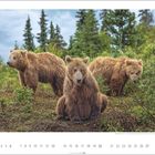 6. Drei Bären stehen in einer grünen Landschaft mit Bäumen im Hintergrund.