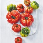 „Juni“. Verschiedene Sorten von rot und grünen Tomaten liegen dekorativ auf einem weißen Holzbrett.