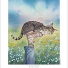 Es gibt einen Text: „Katzen kann man alles sagen...“ Illustration: Eine Katze liegt auf einem Schuh, im Hintergrund blühende Wiese.