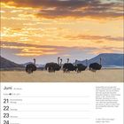 Juni, 25. Woche. Krebs 21.6.–22.7. Morgendämmerung in südafrikanischer Landschaft mit Straußen. Jean Paul Zitat.