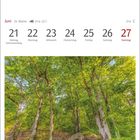 Text: Juni, 25. Woche, 21.6.–22.7., 21 Montag Sommeranfang, 27 Sonntag. Darunter ein Wald mit grünen Eichen.