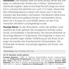 Höhlenbär (ausgestorben). Informationen über seine Lebensweise und heutigen Bärenarten. Namenstage: Carlo, Christiane.