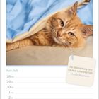 Zitat: "Die Selbstachtung einer Katze ist außerordentlich." - Christian Morgenstern. 

Eine rote Katze unter einer blauen Decke. Kalenderblatt.