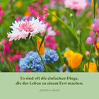 Zitat: "Es sind oft die einfachen Dinge, die das Leben zu einem Fest machen." Hintergrund: Bunte Blumenwiese.