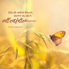 "Gib dir selbst Raum, damit du dich voll entfalten kannst." Ein Schmetterling auf Gras im warmen Sonnenlicht.