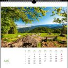 Die Wörter "Juni, June, Juin" befinden sich unten links. Kalenderblatt mit grünem Wald und Bank im Vordergrund.