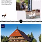 "Liebesdinge: ‚Liebe ist der Entschluss, das Ganze eines Menschen zu bejahen‘, schrieb Otto Flake. Oben Fotos mit Menschen in Gesprächen. Unten ein großes Bauernhaus, Kalenderblatt Juni, Logo SWR."