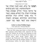 "Gebet vor dem Tehilim-Sagen", Autor: Jismach Mosche. Instruktion zur Nichtverwendung an Schabbat und Jom Tow.