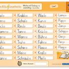 "Meine Blitzlesekarte", "Wörter mit Endung -e, zweisilbig in Sprechsilben", Wörter wie "Pflanze", "Kurve", "Geige". Illustration: ein Affe.