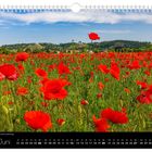 Kalenderblatt Juni, Mohnfeld am Fuße der Weinberge. Rote Mohnblumen unter blauem Himmel.