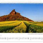 Kalender „Juni“, Landschaftsaufnahme: Ein Feld mit Pfaden führt zu einem bewaldeten Hügel bei Sonnenuntergang.