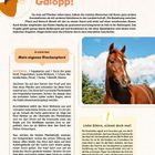 "Pferdchen, lauf Galopp! Kreatividee: Mein eigenes Steckenpferd. MATERIAL: 1 Pappkarton und 1 Stock..."

Dieses Bild enthält Text über das Basteln eines Steckenpferds und zeigt ein Foto eines Pferdes sowie eine Illustrationsgrafik eines Pferdekopfs.