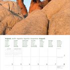 Kalenderblatt August 2027, Tage in mehreren Sprachen. Oben ein kahler Baobab-Baum vor blauem Himmel.