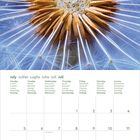 July, Juillet, Luglio, Julio, Juli. Großaufnahme eines Löwenzahnkopfes mit fliegenden Samen, darunter ein Kalenderlayout.
