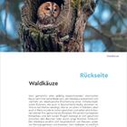 "Vorderseite: 11 Februar, Donnerstag. Bild eines Waldkauzes in einer Baumhöhle. Rückseite: Waldkäuze. Text über Waldkauzverhalten."