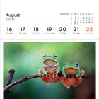 Kalenderseite: August, KW 33, 16-22; Foto von zwei Fröschen auf Ast, Java-Flugfrosch, Indonesien.