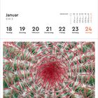Kalenderseite Januar 2027, KW 3, mit Daten 18-24. Bild: Nahaufnahme eines Kaktus mit roten Dornen.