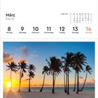 März KW 10. Wochentage von Montag, 8. bis Sonntag, 14. sind aufgelistet. Palmenstrand bei Sonnenaufgang. Dominikanische Republik.