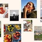 KATERINA WINTEROVA. Verschiedene Szenen mit Tomaten: Ernte, Verarbeitung, Konservierung und Verzehr.